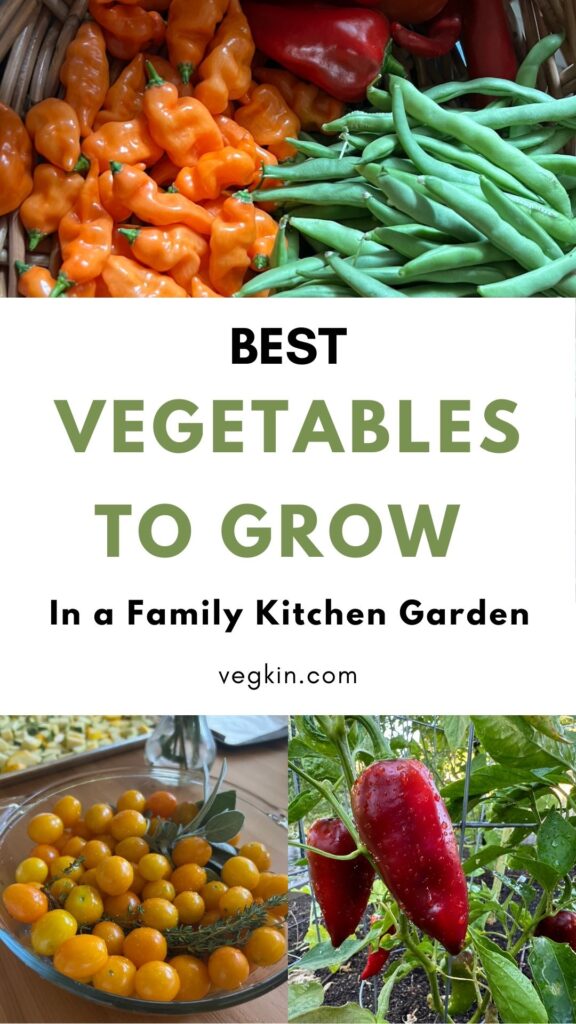 Best Vegetables to Grow in a Family Kitchen Garden